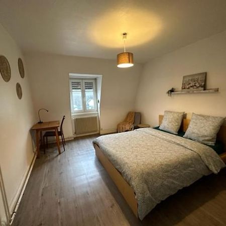 Beau F3 - Proche Gare Apartment Mulhouse Exterior foto