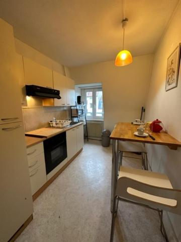 Beau F3 - Proche Gare Apartment Mulhouse Exterior foto