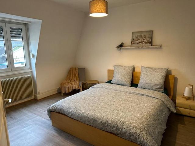 Beau F3 - Proche Gare Apartment Mulhouse Exterior foto